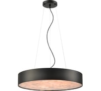 Подвесной светодиодный светильник Wertmark EDERA WE510.01.723
