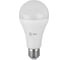 Светодиодная лампа ЭРА LED A65-25W-865-E27 R, груша, 25 Вт, холодный, E27 10/100/1200 Б0048011 1
