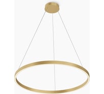 Подвесной светильник MAYTONI Rim LED 51W Латунь MOD058PL-L42BSK