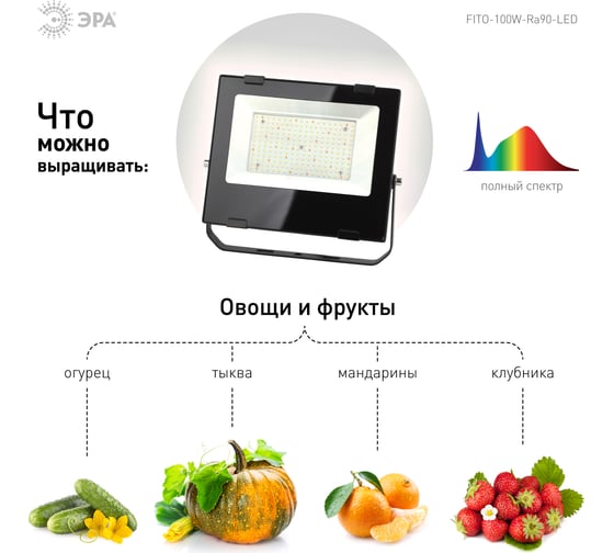 Фито-прожектор для цветения и плодоношения ЭРА FITO-100W-Ra90-LED 10/200 Б0047876