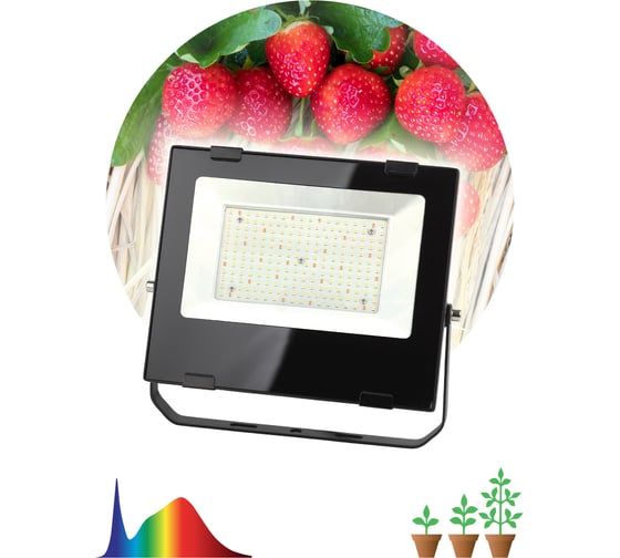 Фито-прожектор для цветения и плодоношения ЭРА FITO-100W-Ra90-LED 10/200 Б0047876