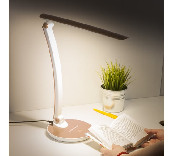 Светильник Elektrostandard 90199/1 золотой TL90310 a040279