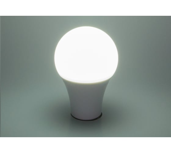 Светодиодная лампа Elektrostandard Classic LED D 17W 6500K E27 BLE2729 a048623