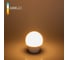 Светодиодная лампа Elektrostandard BLE2730 Mini Classic LED 7W 3300K E27 матовое стекло a048624 1