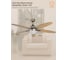 Люстра вентилятор Dreamfan Orion 132 63122DFN 5
