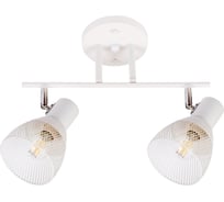 Спот IMEX SP.032-72-80