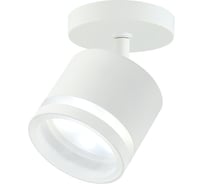 Спот IMEX ARTA IL.0005.4501 WH