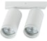 Спот IMEX ARTA IL.0005.2001-2 WH 3