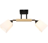 Потолочная люстра IMEX MD.4720-2-S BK+FGD