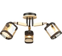 Потолочная люстра IMEX MD.4508-3-S BK+FGD