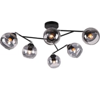 Потолочная люстра IMEX MD.9460-6-S BK+CH