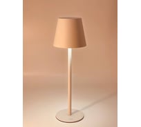 Настольный светильник IPRO Limona 2.5Вт 5В 14000