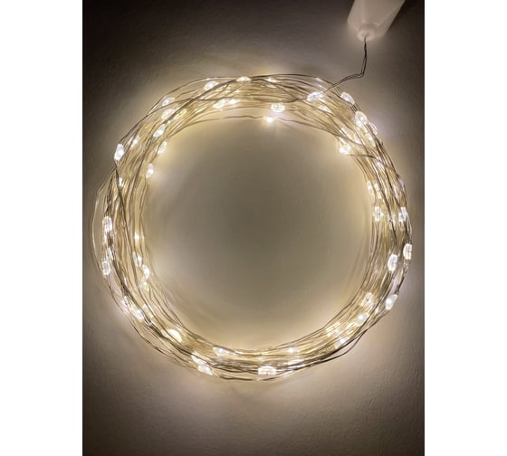 Гирлянда ЭРА ENIN 10NW LED Нить, 10 м, теплый свет, 220V 100/1800 Б0047964 1