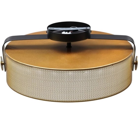 Потолочный светильник Lumion LED 40W DRUMY 6597/40L