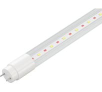 Лампа для мясных витрин AVANLED AL T8P-9-600 MEAT 13406011