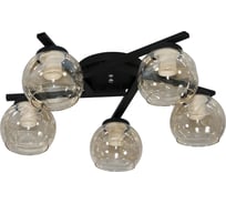 Светильник потолочный ЭЛЕТЕХ Альфа 151 черн. (Плафон 8425) НПБ 01-5x60-151 Е27 1005405389