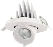 Светодиодный светильник Jazzway встраиваемый PLED DL4 18Вт 4000К белый 24град. поворот IP40 5021884