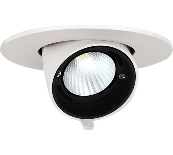 Светодиодный светильник Jazzway встраиваемый PLED DL4 18Вт 4000К белый 24град. поворот IP40 5021884