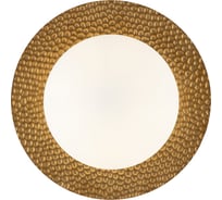 Настенный светильник Freya (бра) Camelia 1хE27x60W Латунь FR5202WL-01BS