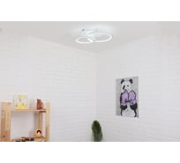 Светильник потолочный, люстра потолочная Schaffner Estribo 2620-1+1, цвет белый, светодиодная LED, освещение до 12 кв.м, мощность: 64 W Estribo 2620-1+1 IR