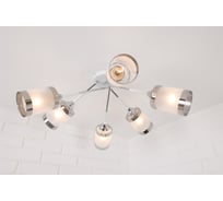 Люстра Schaffner Bolso 6xE27/60W Bolso 23900-6 WH+CR