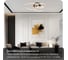 Люстра потолочная Citilux TRIO с пультом Черный+Золото CL215B132 16