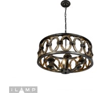 Подвесная люстра iLAMP Organic Loft192-6