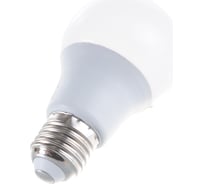 Светодиодная лампа Ergolux LED-A60-15W-E27-3K 14308