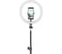 Кольцевой свет Camelion KD-810F C02 LED 10 Вт, подставка для смартфона 13010 6