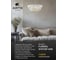 Подвесная люстра ARTE LAMP FLORIZEL A1072SP-6AB 4