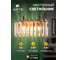 Настенный светильник ARTE LAMP MAYOTTE A1071AP-2PB 3