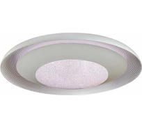 Потолочный светодиодный светильник iLEDEX Spaceship 6147/24W WH