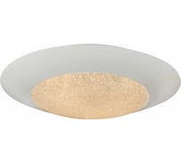 Потолочный светодиодный светильник iLEDEX Plain 6146/24W WH