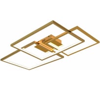 Потолочный светодиодный светильник iLEDEX GRACE 230/3A-50W-3000K GL