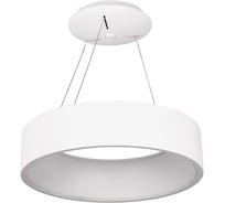 Светильник Arlight SP-TOR-RING-HANG-R460-33W Warm3000 WH, 120 deg 022146(1)