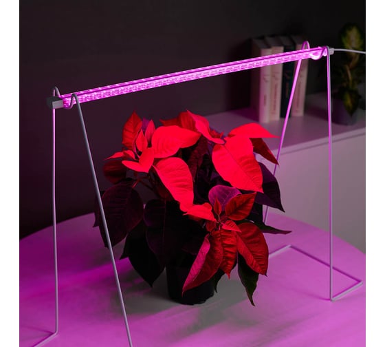Светильник светодиодный для растений Inbloom 32LED, фиолетовый, 54x2.4x1.3см, 8Вт, 220В, ABS 185-090