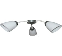 Светильник ЭЛЕТЕХ Китти 131 бел. хром /плафон П0475/ НПБ 01-3х60-194 Е27 ИУ 1005404447