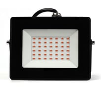 Прожектор Smartbuy FL ФИТО 30W/1300K/IP65 SBL-FLFITO-30-65K