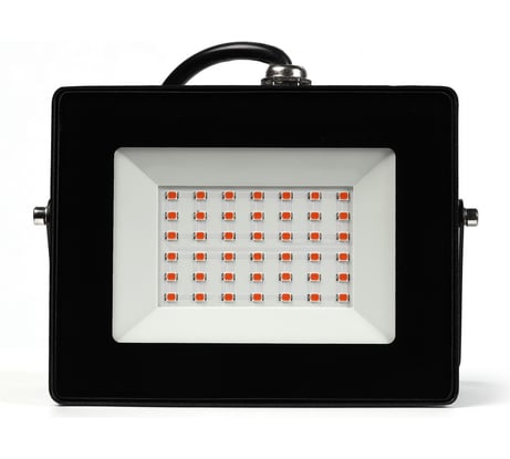 Прожектор Smartbuy FL ФИТО 30W/1300K/IP65 SBL-FLFITO-30-65K