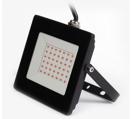 Прожектор Smartbuy FL ФИТО 30W/1300K/IP65 SBL-FLFITO-30-65K