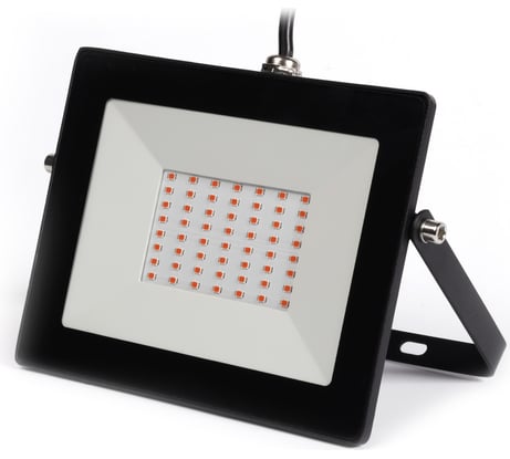 Прожектор Smartbuy FL ФИТО 50W/1300K/IP65 SBL-FLFITO-50-65K