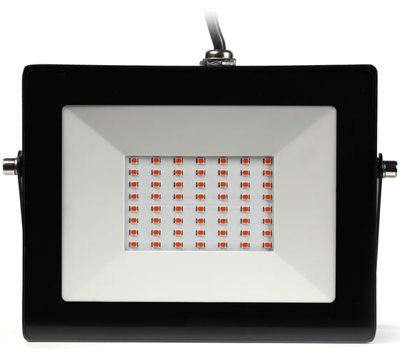 Прожектор Smartbuy FL ФИТО 50W/1300K/IP65 SBL-FLFITO-50-65K