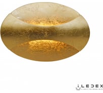 Настенный светодиодный светильник iLEDEX Flux ZD7151-6W Gold