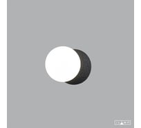 Настенный светильник iLAMP FOXTROT 10695W/1-D100 BK-WH