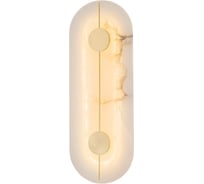 Настенный светодиодный светильник Belfasteon Ravenhill 3220 BR MB