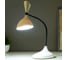 Настольная сенсорная лампа RISALUX 16089/1WT LED 3Вт USB АКБ 3000-6000К бело-черный 11х17,5х39 см 5091604 6
