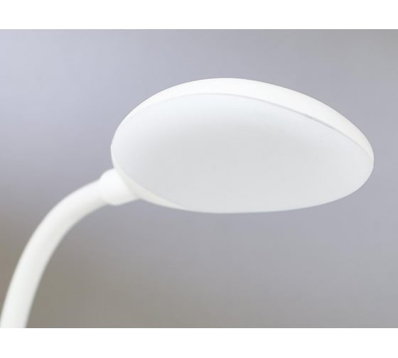 Настольная лампа RISALUX с зеркалом 91023/1 LED 5Вт USB AKB 3 режима диммер белый 12х10,5х43 см 4734815
