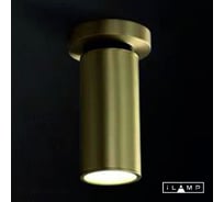 Настенно-потолочный светильник PLUM iLAMP 8861C BR-BK