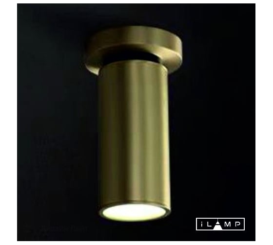 Настенно-потолочный светильник PLUM iLAMP 8861C BR-BK 1