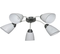 Светильник ЭЛЕТЕХ Китти 151 белый хром плафон П0475 НПБ 01-5х60-134 Е27 ИУ 1005404449